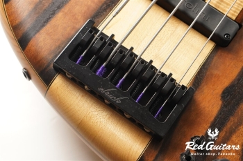 Platinum Series Single-Cut , e-volution 5 - Macassar Ebony